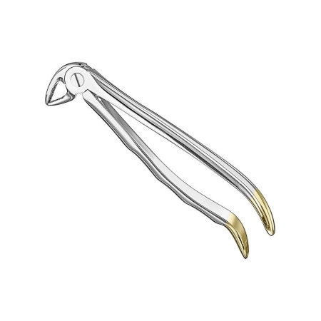 Extracting forceps, anat.